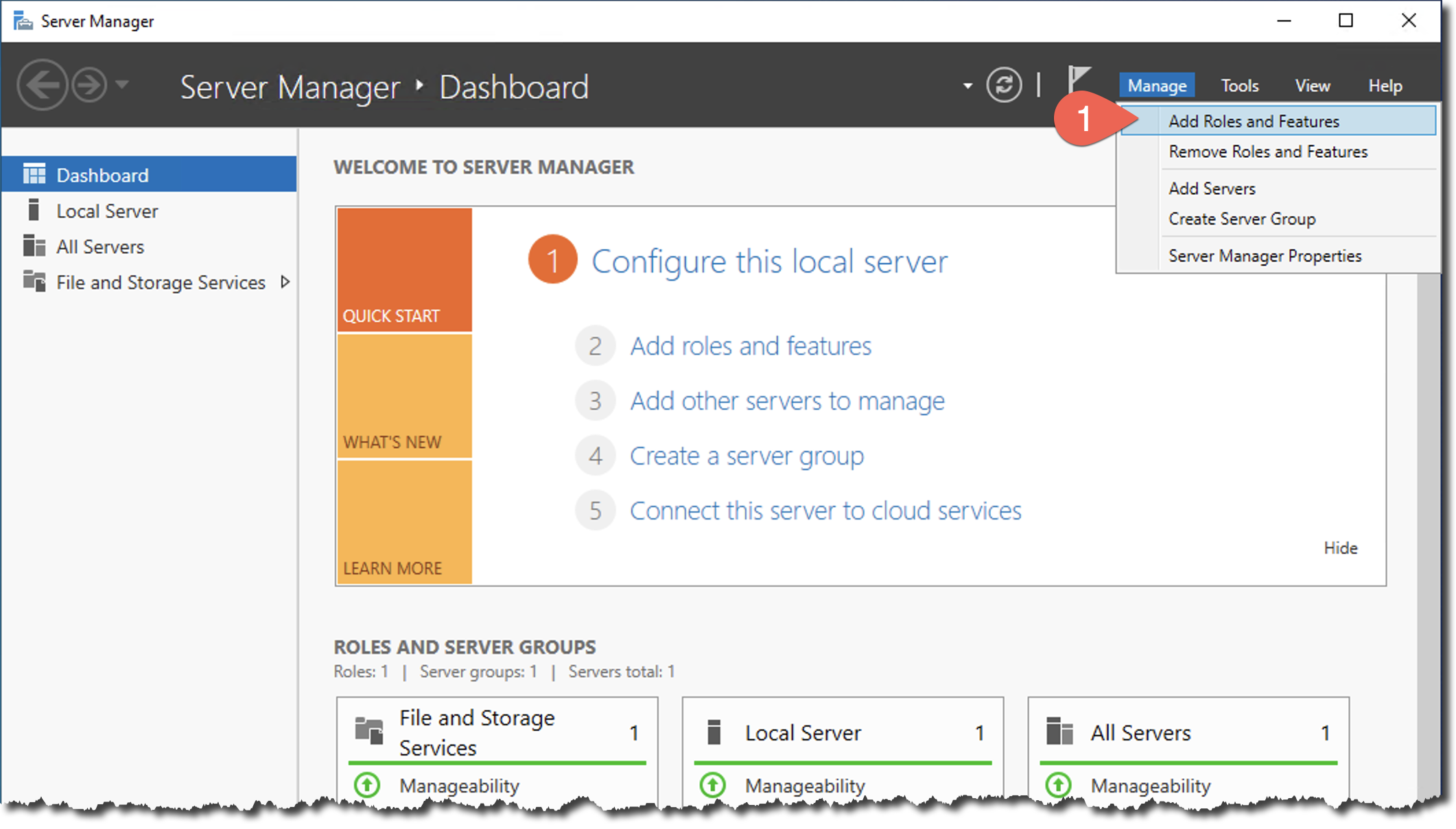 Fig. 1 – Add Roles and Features