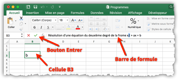 Fig. 3 – Sélectionner une cellule et saisir une valeur