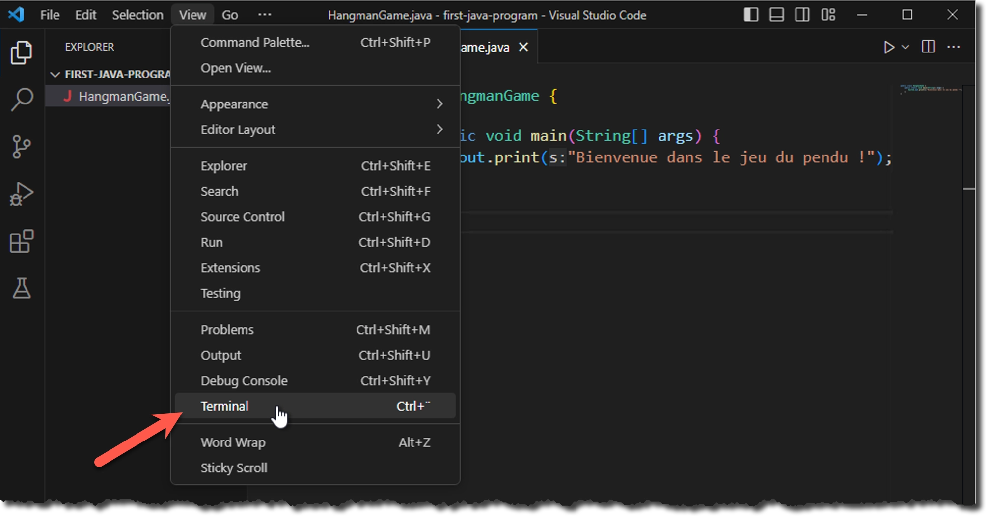 Exécuter le programme dans un terminal intégré