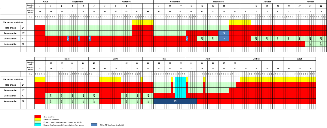 Fig. 1 – Plan d'alternance annuel